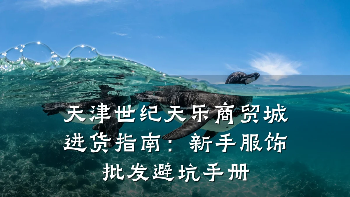天津世纪天乐商贸城进货指南:新手服饰批发避坑手册