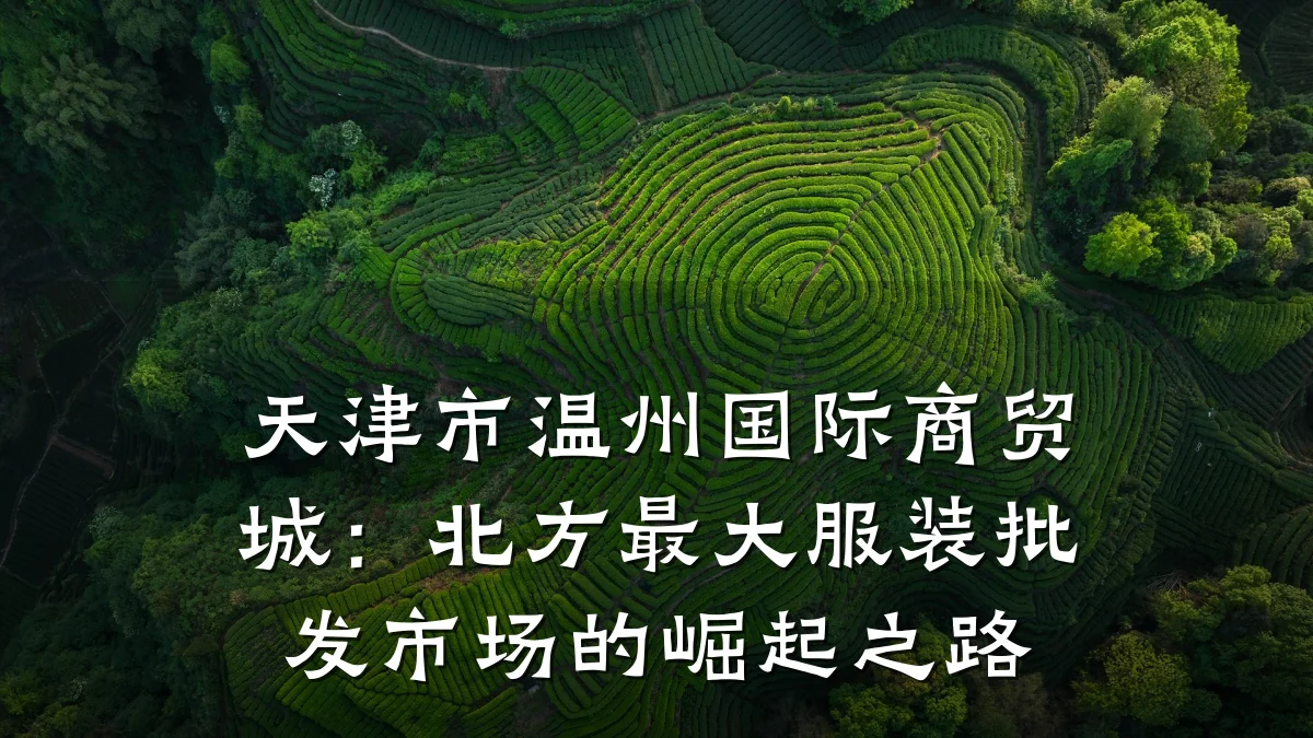天津市温州国际商贸城:北方最大服装批发市场的崛起之路