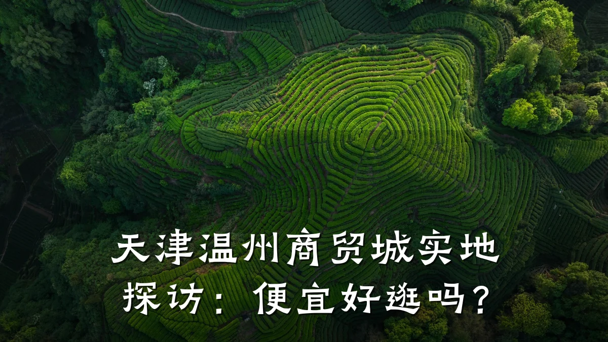 天津温州商贸城实地探访:便宜好逛吗?