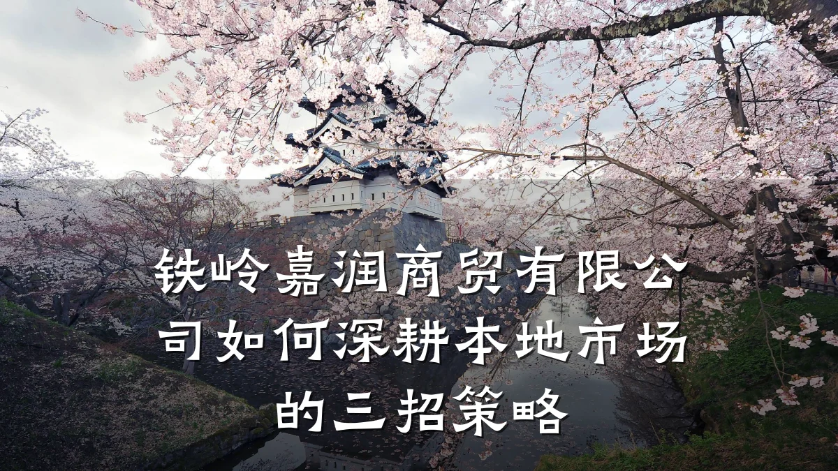 铁岭嘉润商贸有限公司如何深耕本地市场的三招策略