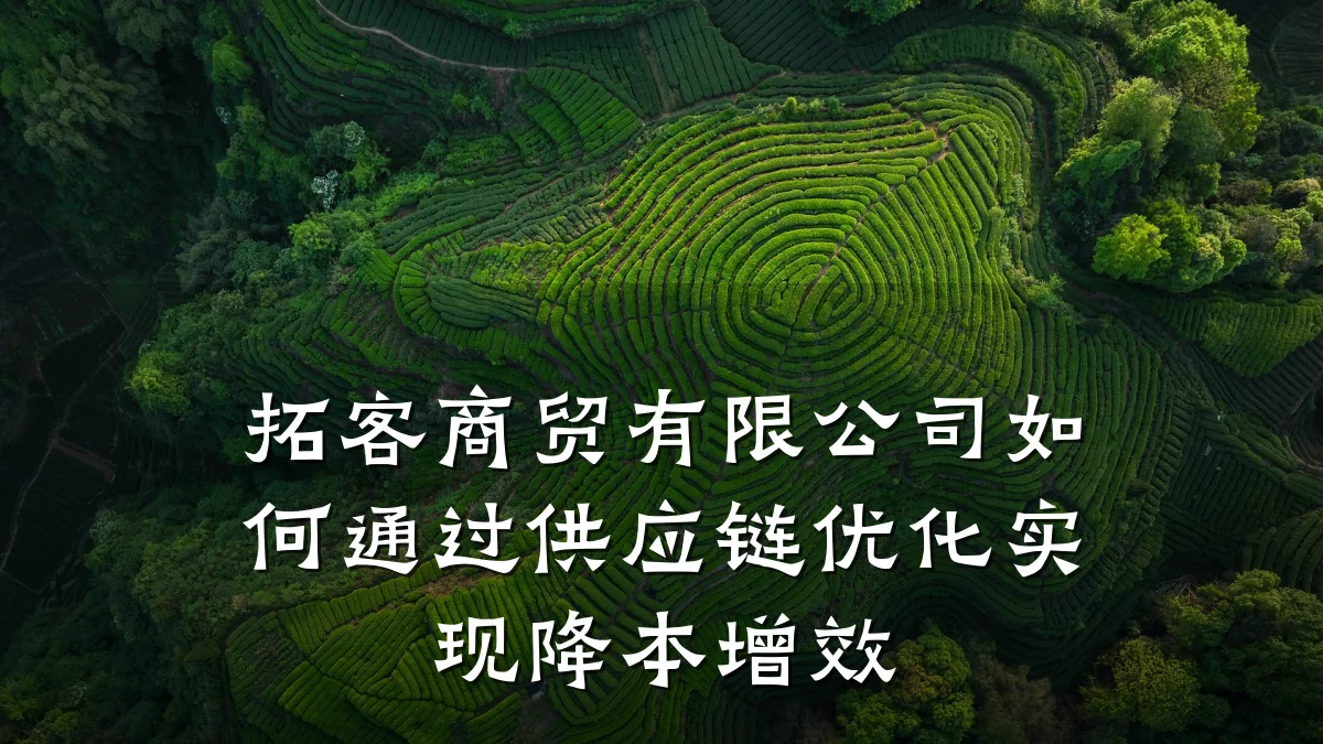拓客商贸有限公司如何通过供应链优化实现降本增效