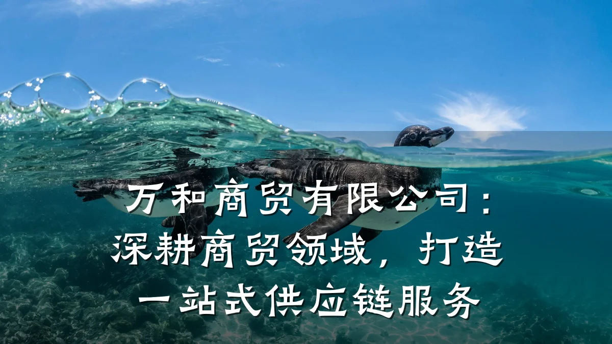 万和商贸有限公司：深耕商贸领域，打造一站式供应链服务