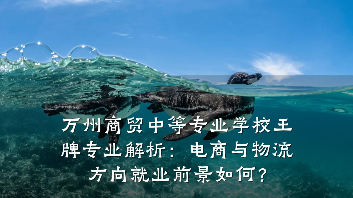 万州商贸中等专业学校王牌专业解析:电商与物流方向就业前景如何?