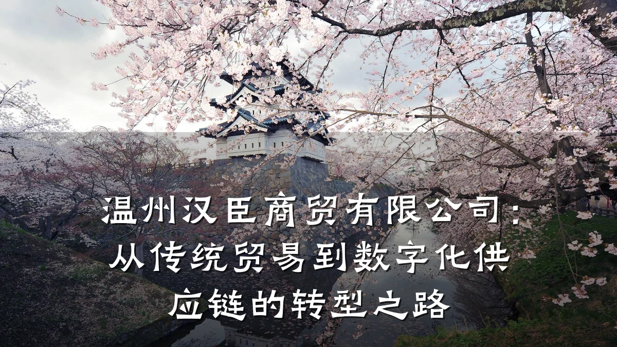 温州汉臣商贸有限公司:从传统贸易到数字化供应链的转型之路