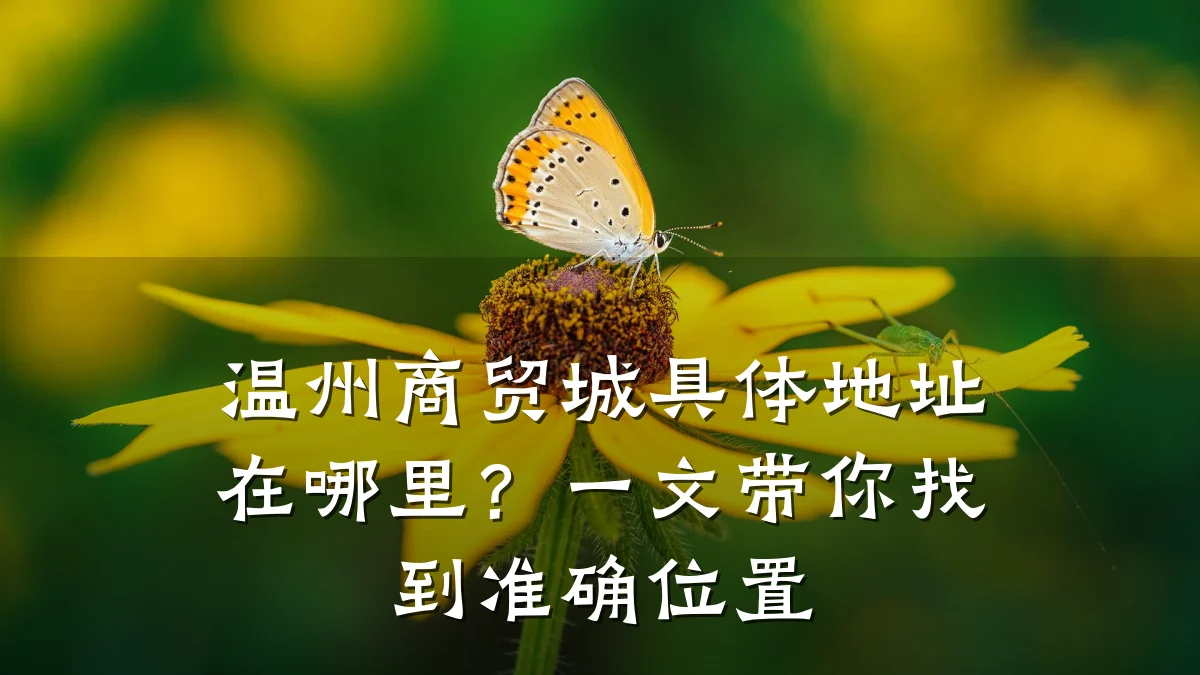 温州商贸城具体地址在哪里?一文带你找到准确位置