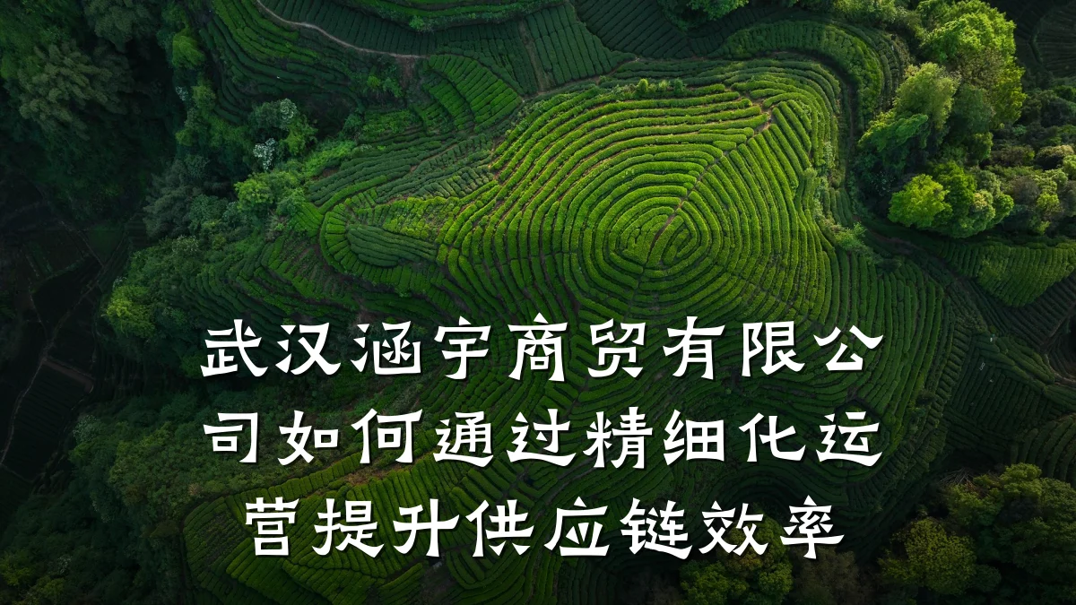 武汉涵宇商贸有限公司如何通过精细化运营提升供应链效率