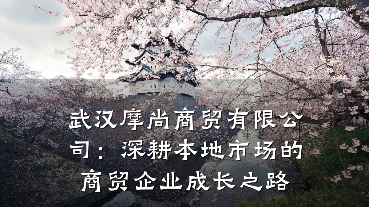 武汉摩尚商贸有限公司:深耕本地市场的商贸企业成长之路
