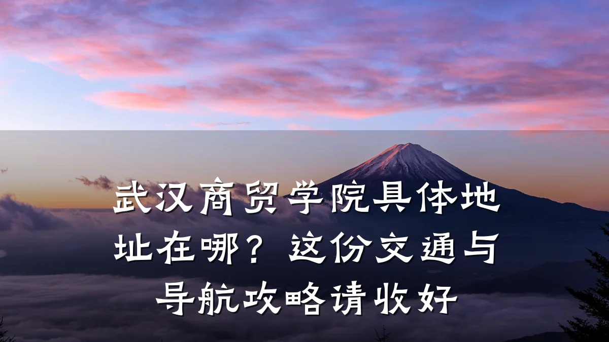 武汉商贸学院具体地址在哪?这份交通与导航攻略请收好