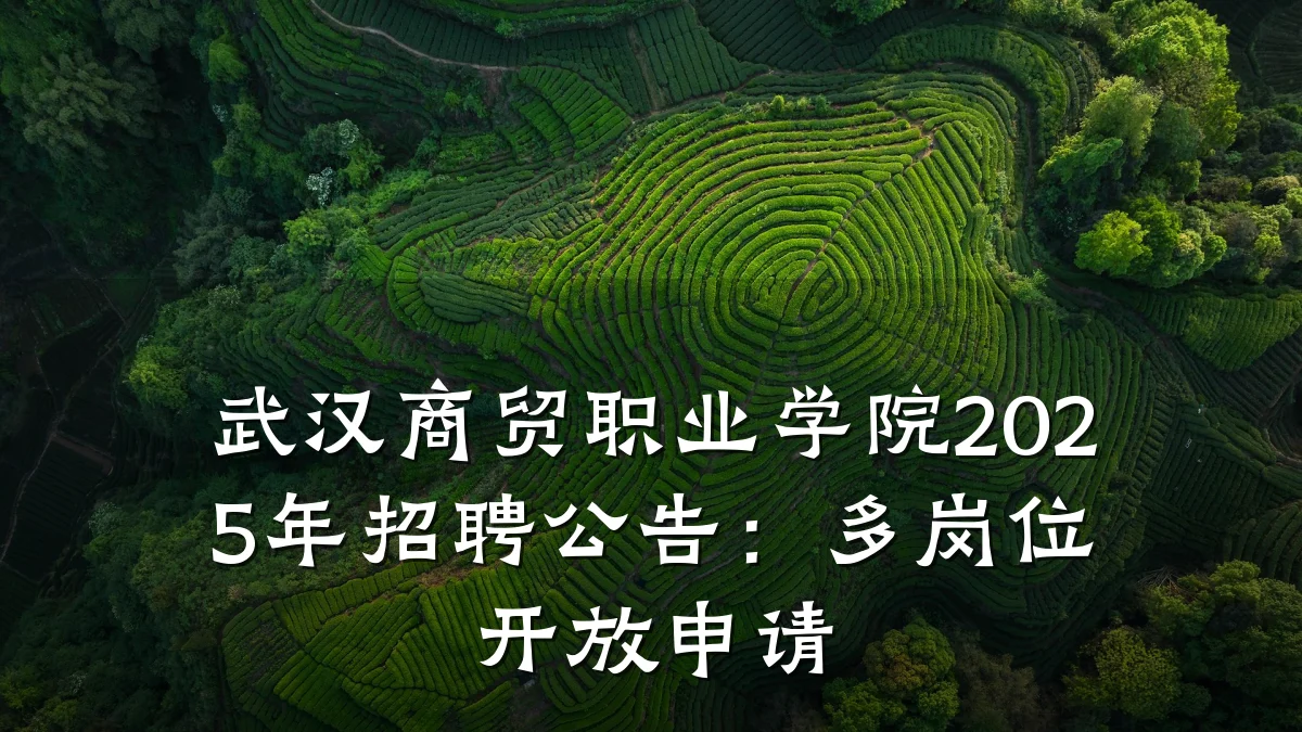 武汉商贸职业学院2025年招聘公告：多岗位开放申请