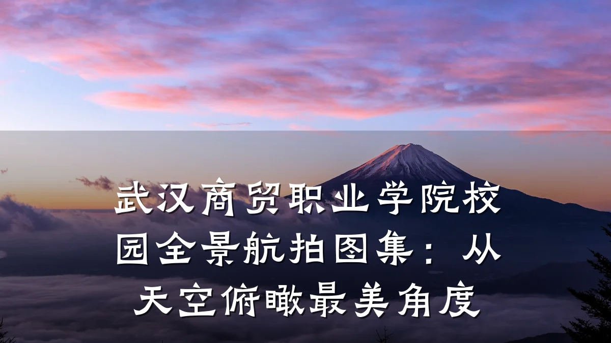武汉商贸职业学院校园全景航拍图集:从天空俯瞰最美角度