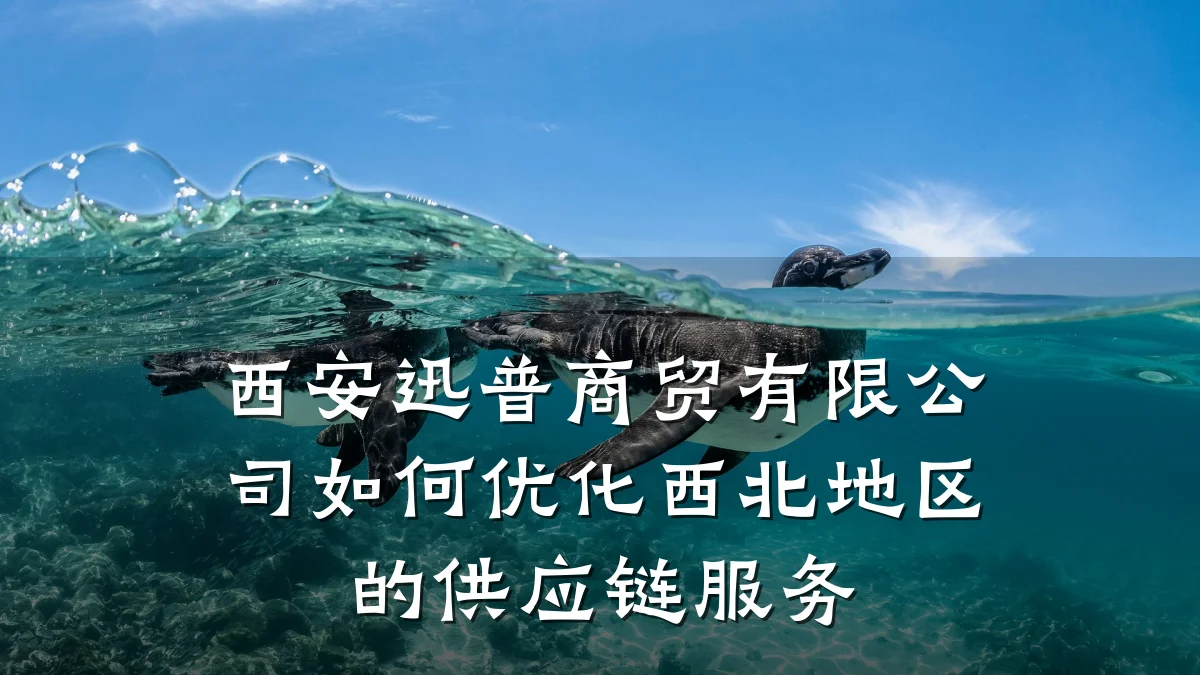 西安迅普商贸有限公司如何优化西北地区的供应链服务