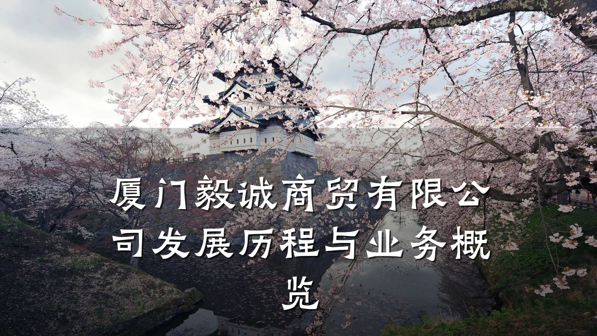 厦门毅诚商贸有限公司发展历程与业务概览