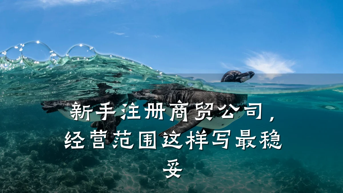 新手注册商贸公司,经营范围这样写最稳妥
