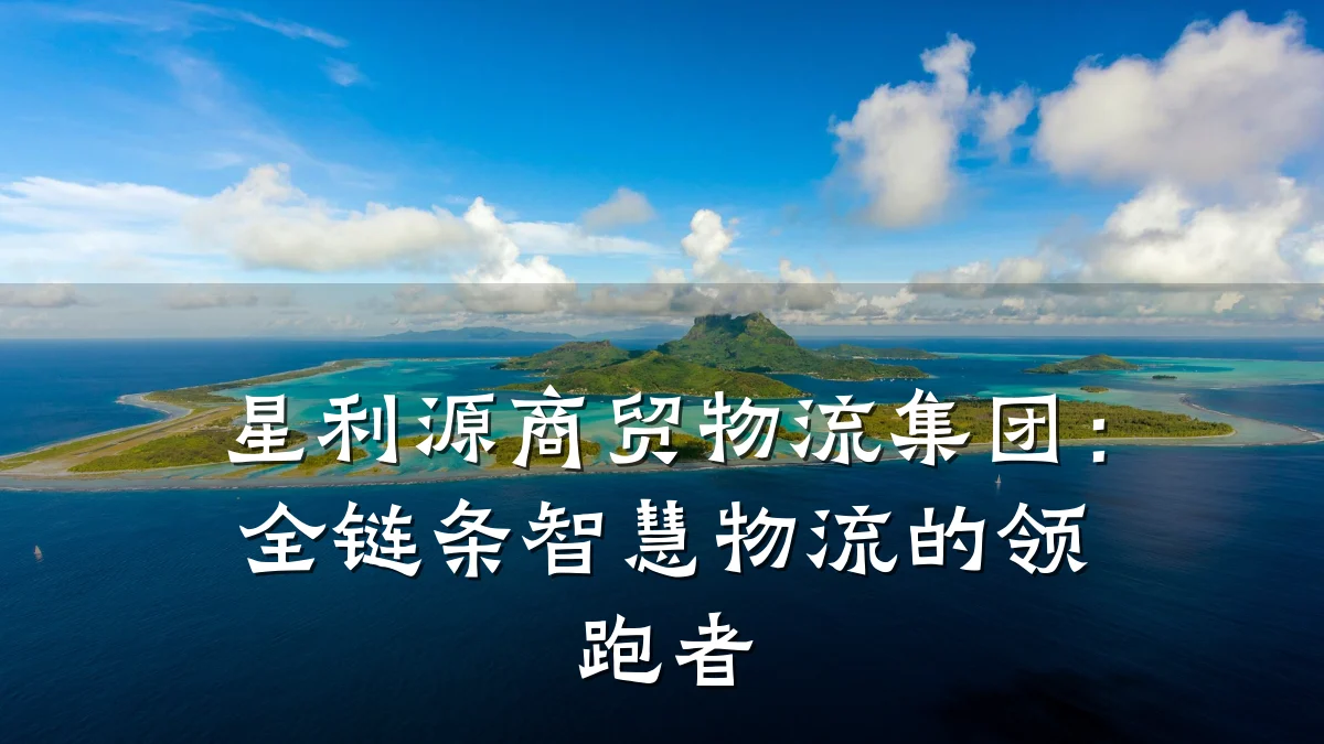 星利源商贸物流集团:全链条智慧物流的领跑者