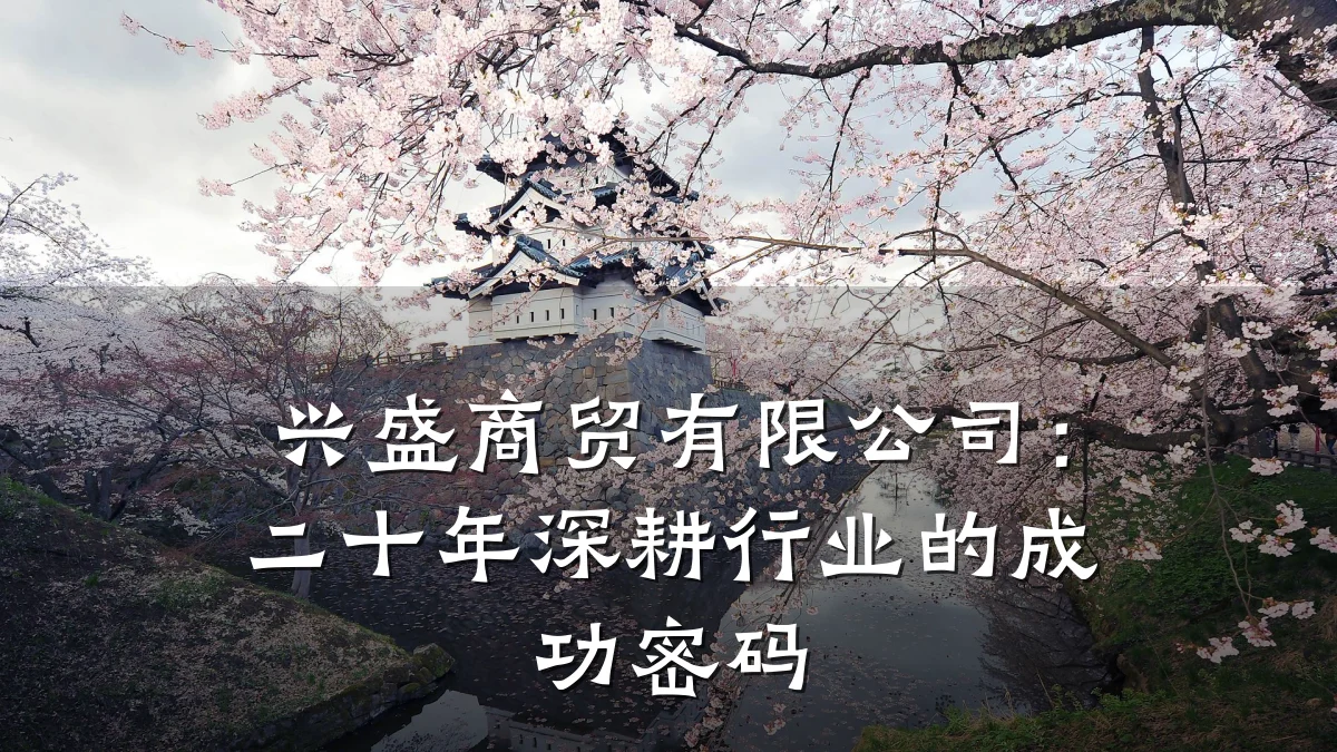 兴盛商贸有限公司：二十年深耕行业的成功密码