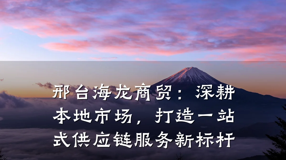 邢台海龙商贸:深耕本地市场,打造一站式供应链服务新标杆