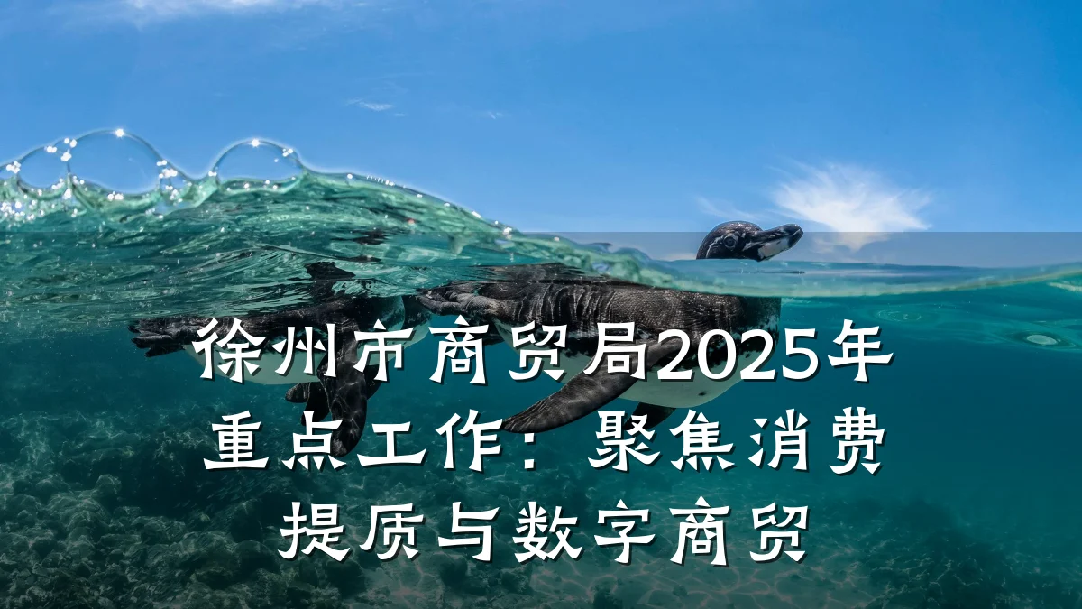 徐州市商贸局2025年重点工作：聚焦消费提质与数字商贸