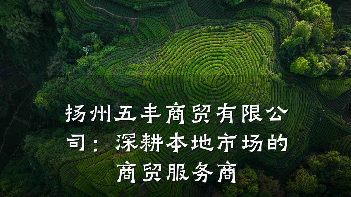 扬州五丰商贸有限公司:深耕本地市场的商贸服务商