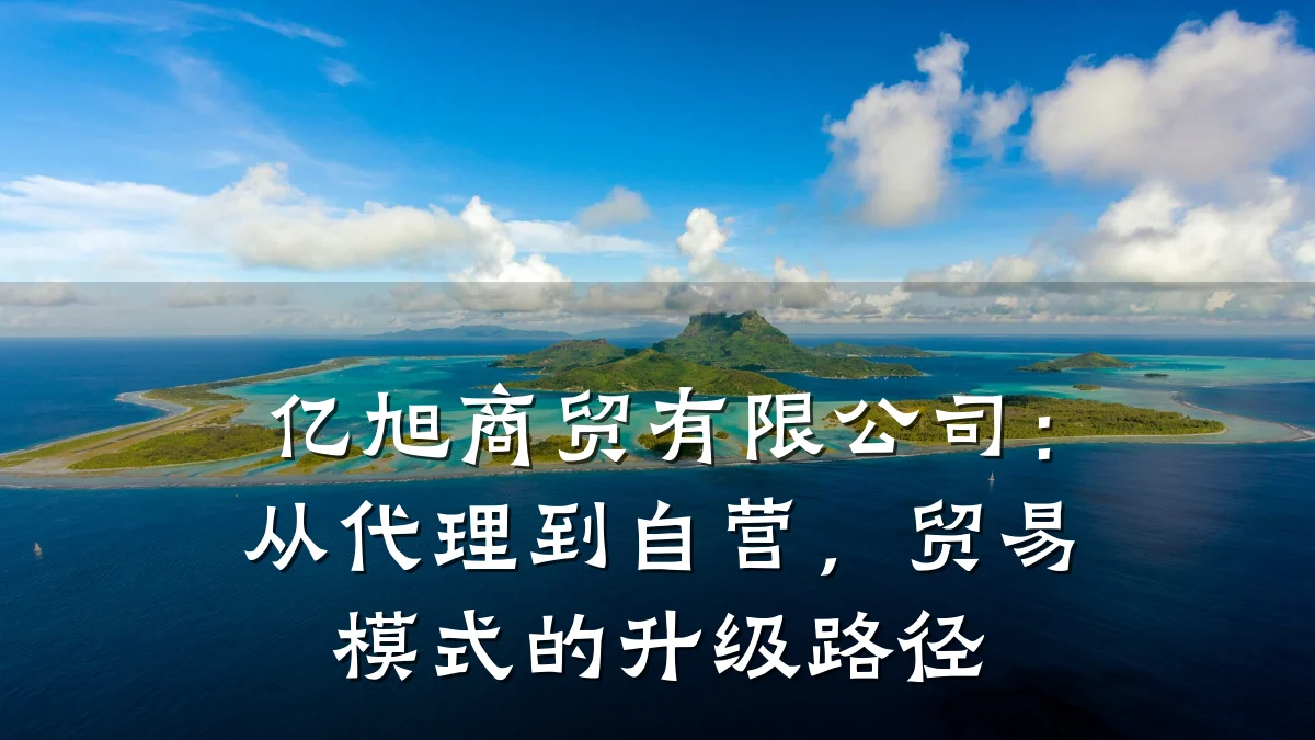 亿旭商贸有限公司:从代理到自营,贸易模式的升级路径
