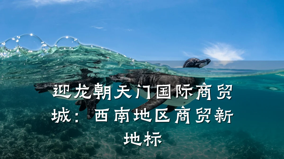 迎龙朝天门国际商贸城：西南地区商贸新地标