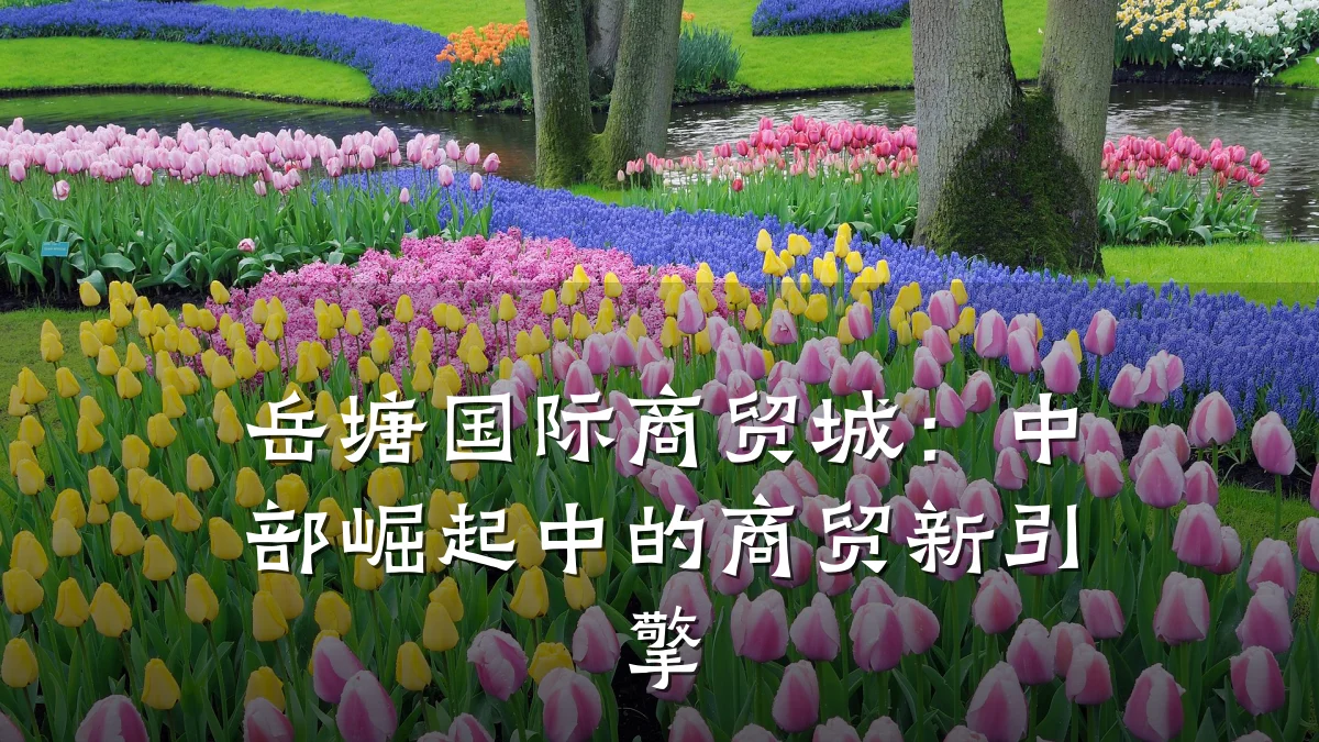 岳塘国际商贸城:中部崛起中的商贸新引擎