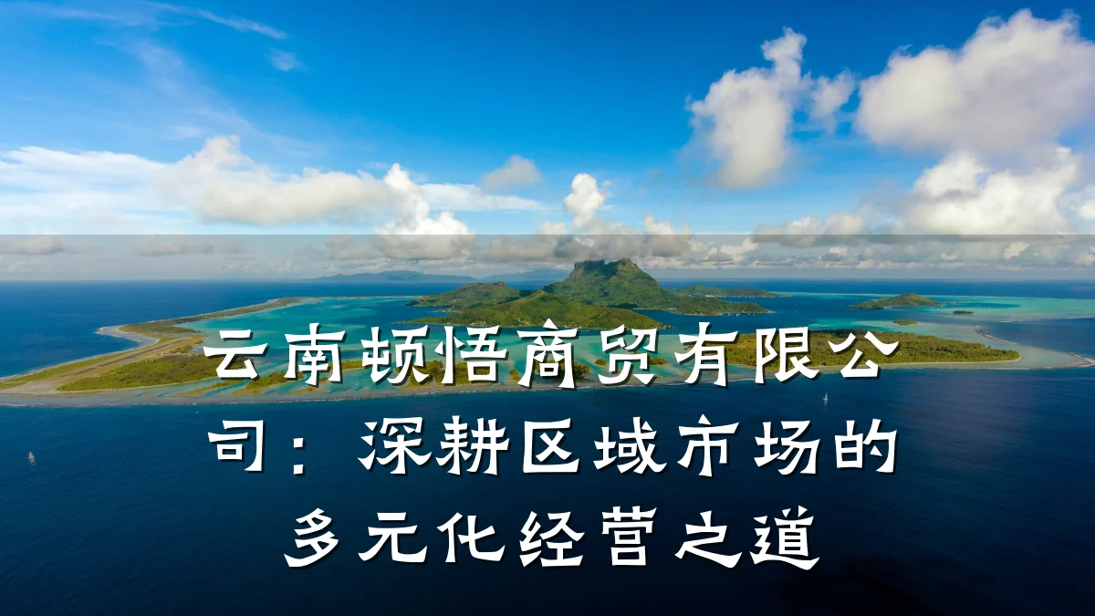 云南顿悟商贸有限公司:深耕区域市场的多元化经营之道