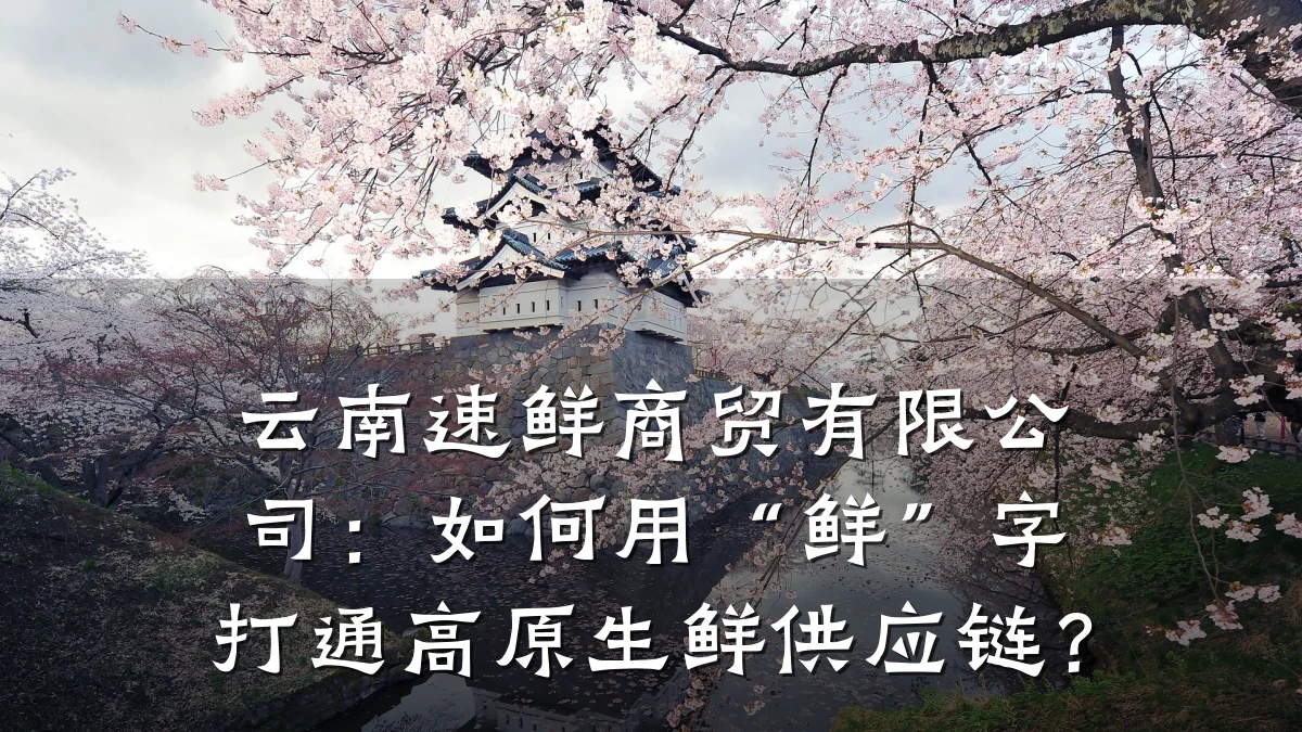 云南速鲜商贸有限公司:如何用“鲜”字打通高原生鲜供应链?