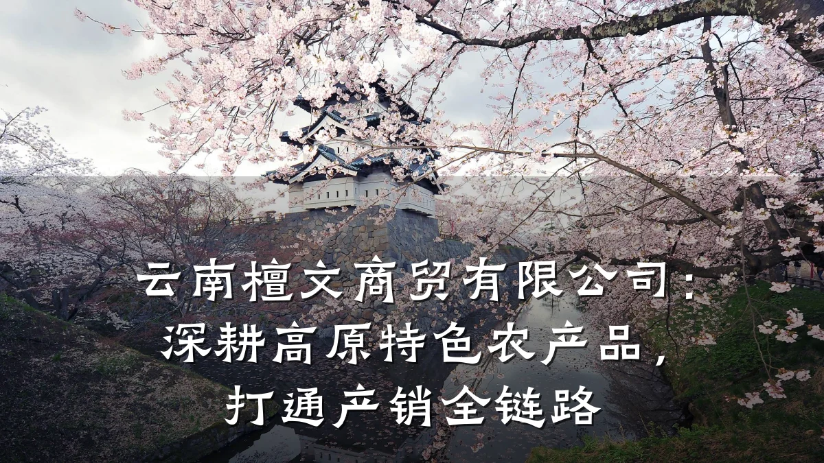 云南檀文商贸有限公司:深耕高原特色农产品,打通产销全链路