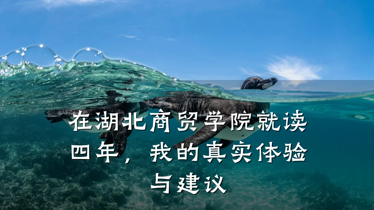 在湖北商贸学院就读四年，我的真实体验与建议