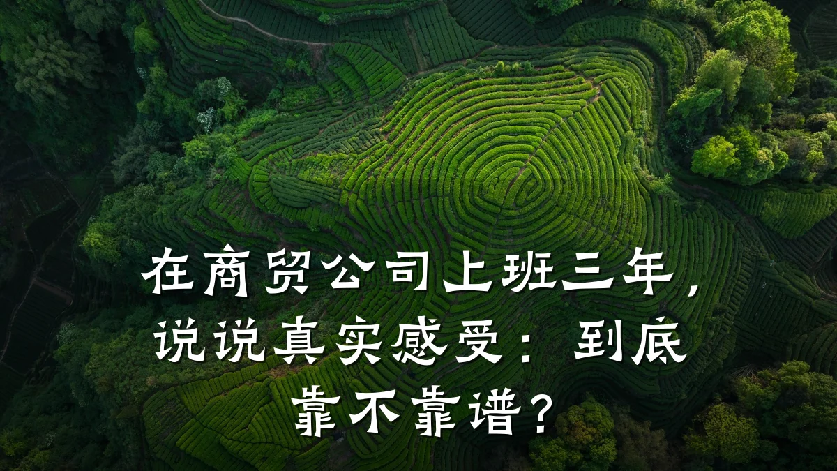 在商贸公司上班三年,说说真实感受:到底靠不靠谱?