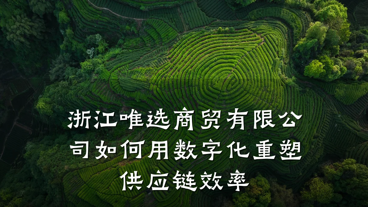 浙江唯选商贸有限公司如何用数字化重塑供应链效率