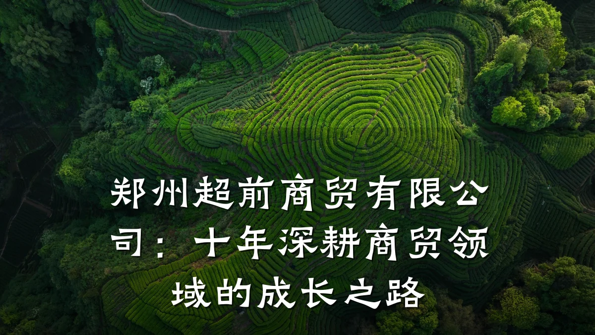 郑州超前商贸有限公司：十年深耕商贸领域的成长之路