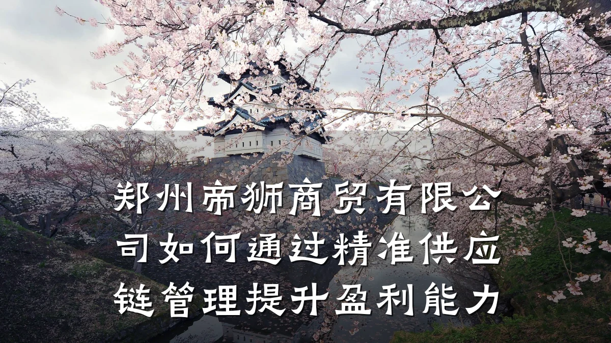 郑州帝狮商贸有限公司如何通过精准供应链管理提升盈利能力