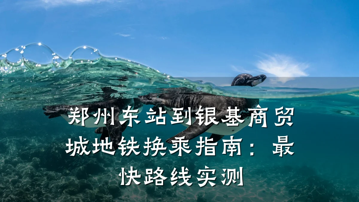 郑州东站到银基商贸城地铁换乘指南:最快路线实测