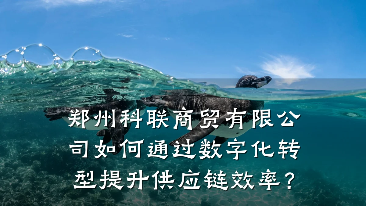 郑州科联商贸有限公司如何通过数字化转型提升供应链效率?