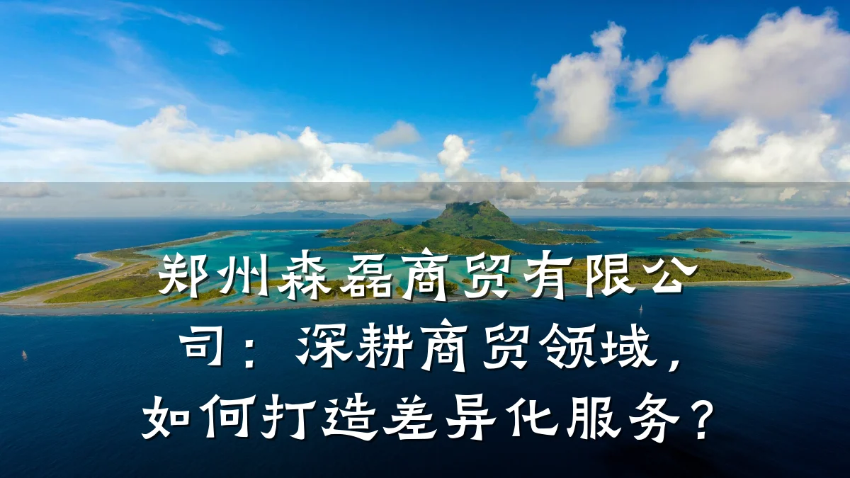 郑州森磊商贸有限公司:深耕商贸领域,如何打造差异化服务?
