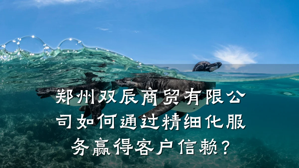郑州双辰商贸有限公司如何通过精细化服务赢得客户信赖?