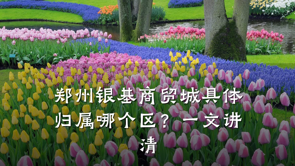 郑州银基商贸城具体归属哪个区？一文讲清