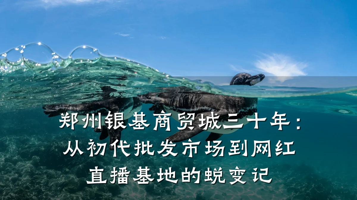 郑州银基商贸城三十年:从初代批发市场到网红直播基地的蜕变记