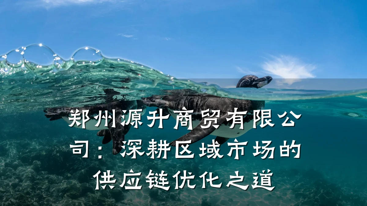 郑州源升商贸有限公司：深耕区域市场的供应链优化之道