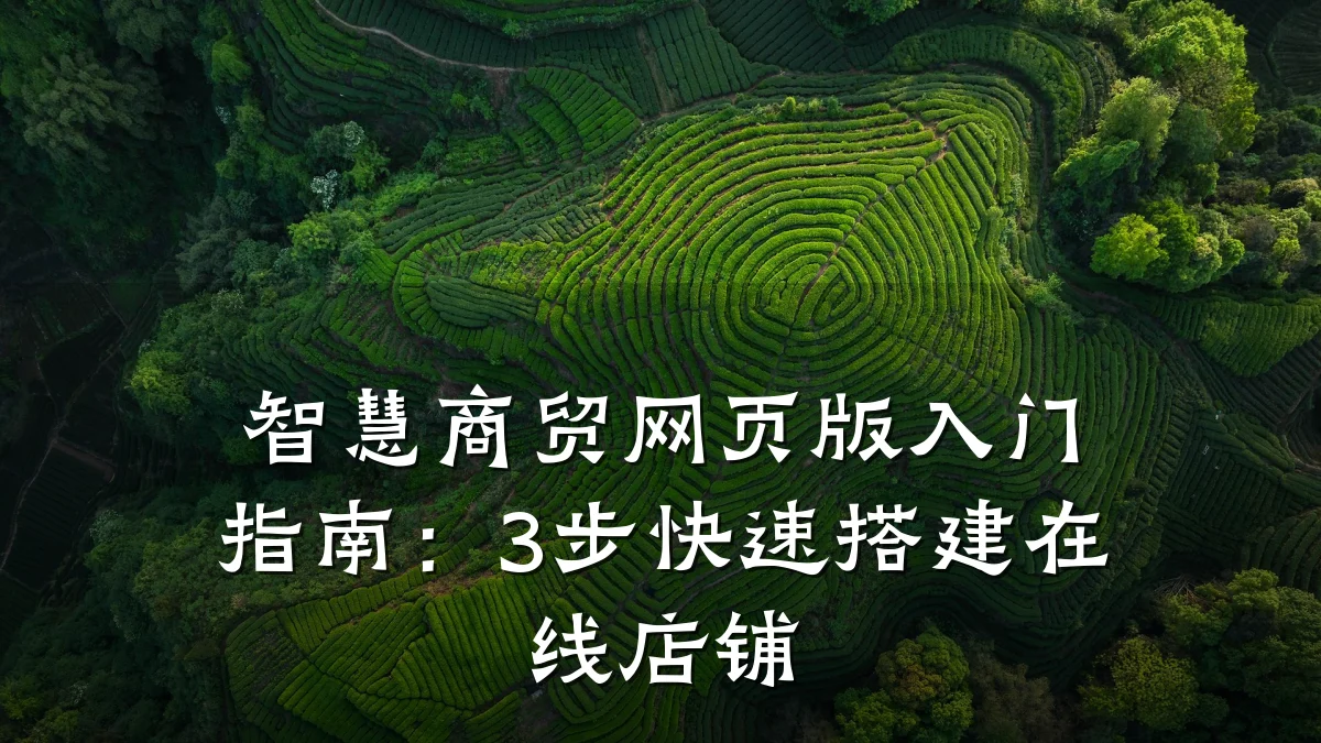智慧商贸网页版入门指南：3步快速搭建在线店铺