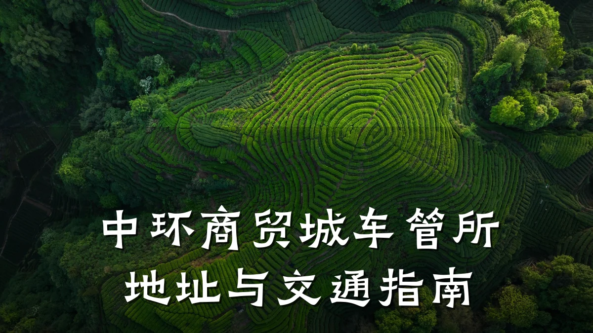 中环商贸城车管所地址与交通指南