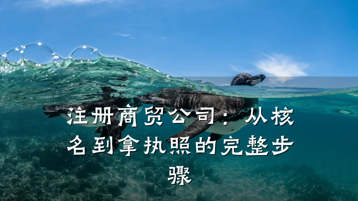 注册商贸公司：从核名到拿执照的完整步骤