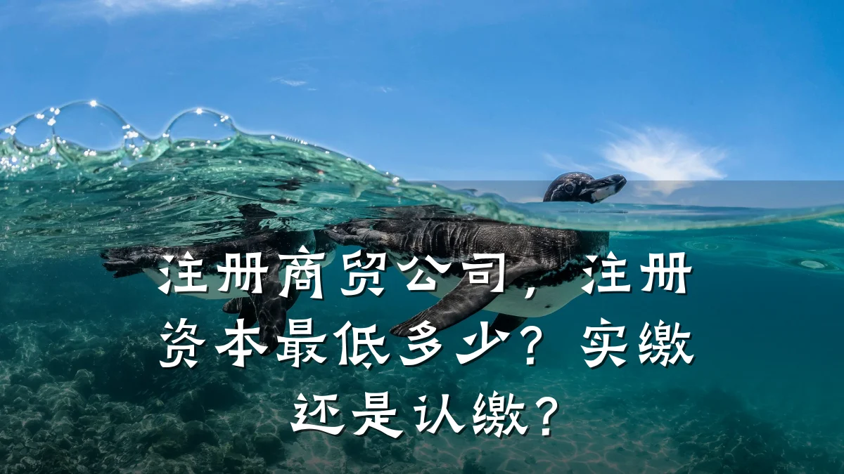 注册商贸公司,注册资本最低多少?实缴还是认缴?