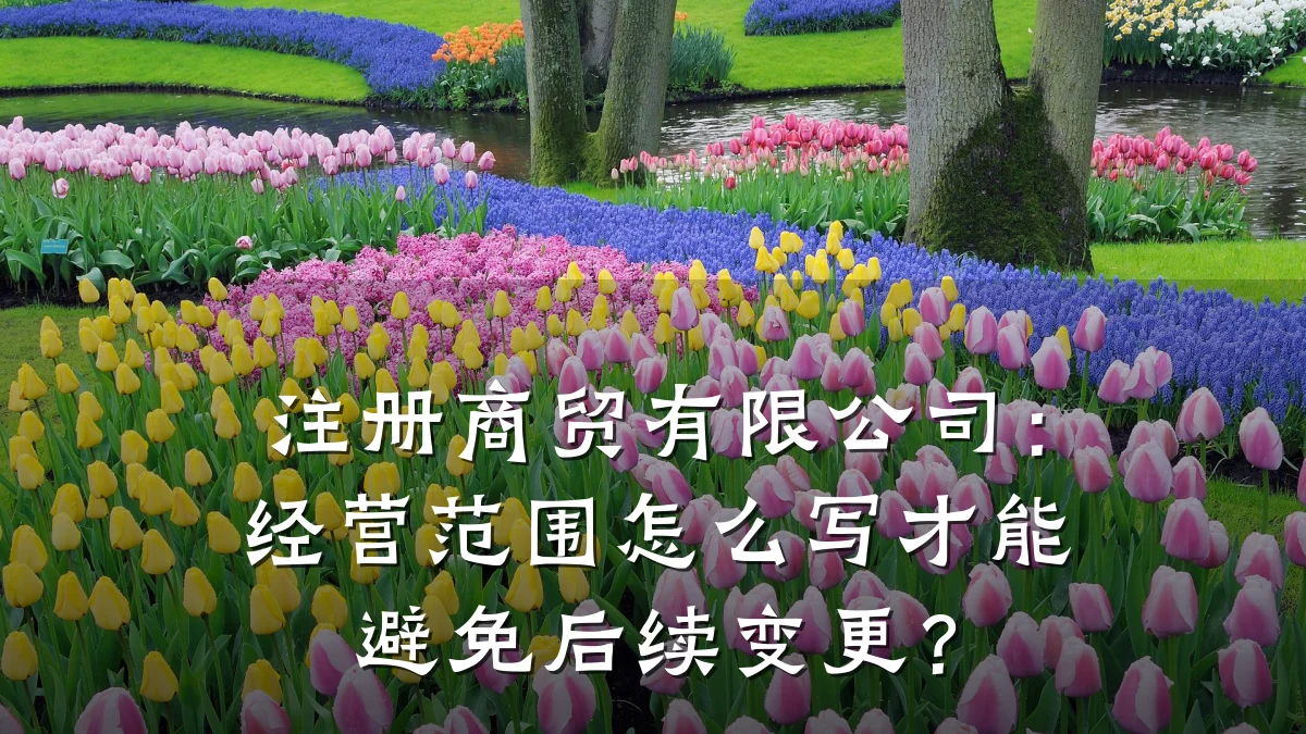 注册商贸有限公司:经营范围怎么写才能避免后续变更?