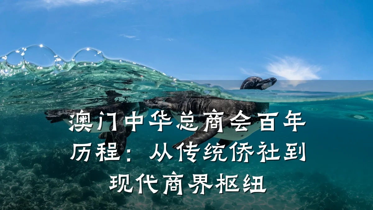 澳门中华总商会百年历程:从传统侨社到现代商界枢纽