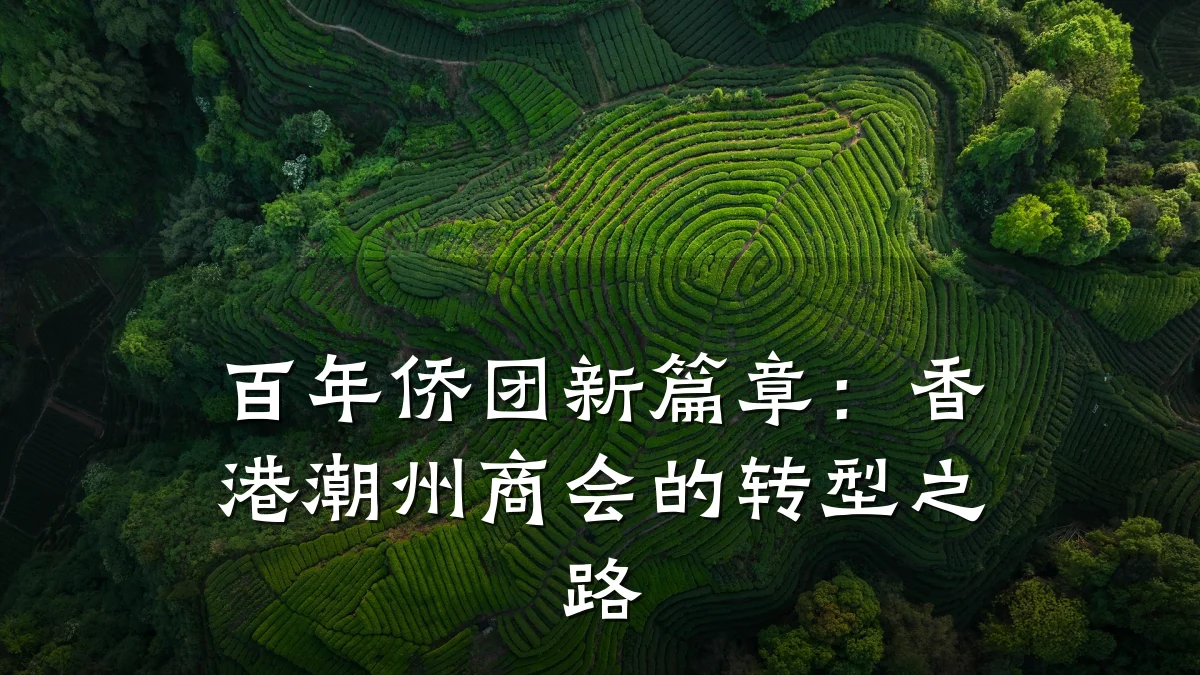 百年侨团新篇章:香港潮州商会的转型之路