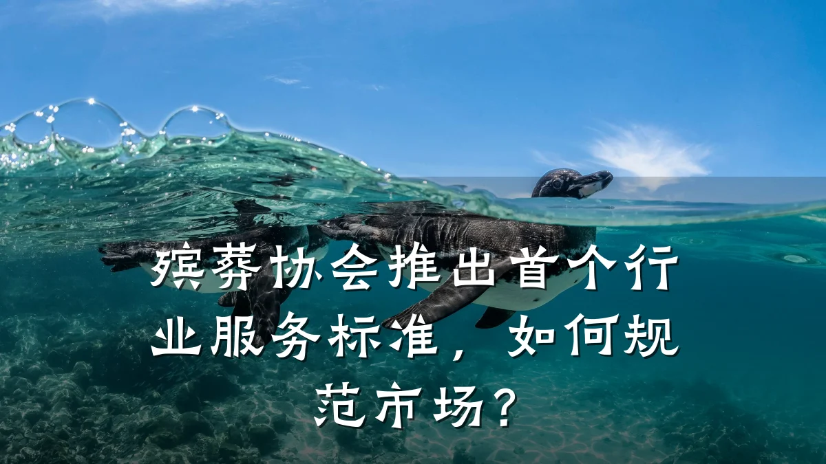 殡葬协会推出首个行业服务标准,如何规范市场?