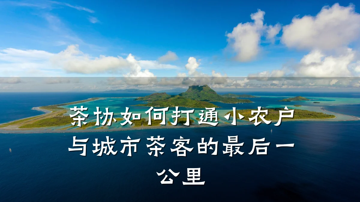 茶协如何打通小农户与城市茶客的最后一公里