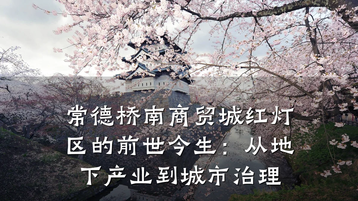 常德桥南商贸城红灯区的前世今生:从地下产业到城市治理